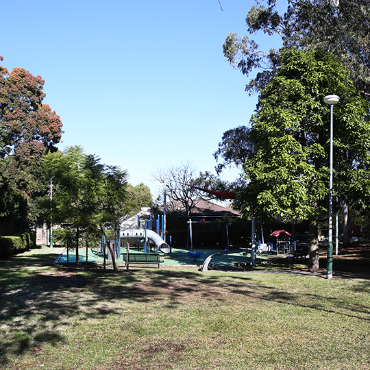 Ryan Park playground and grass